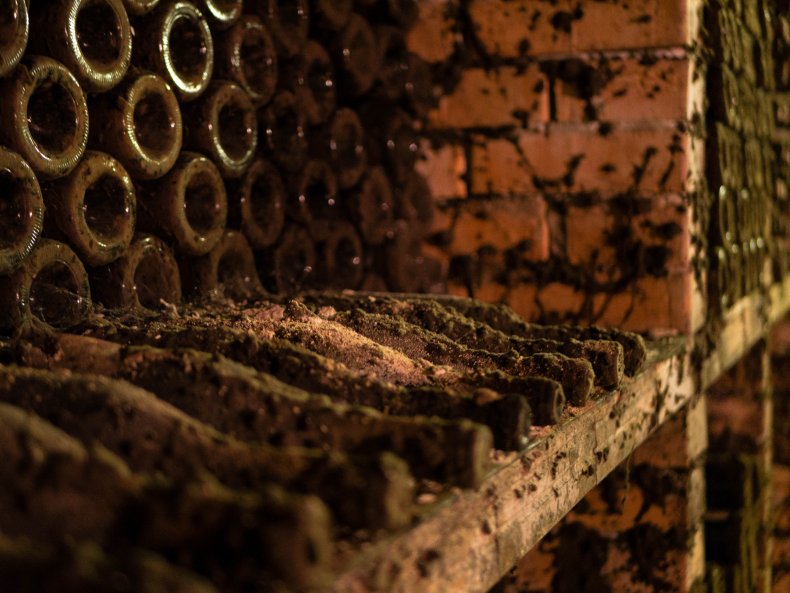 Woman Finds Abandoned 1900s Cellar Beneath Her New Apartment Filled With Food