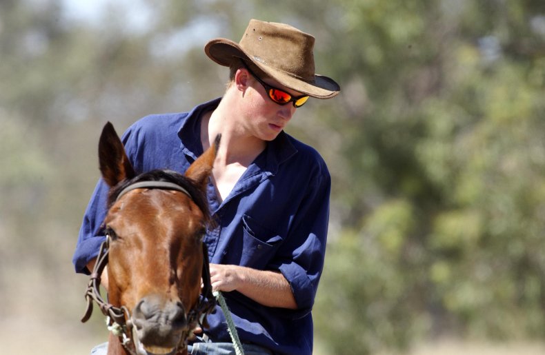 Prince Harry as a Cowboy