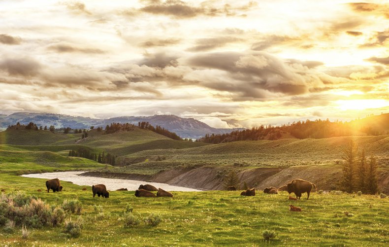 Yellowstone National Park