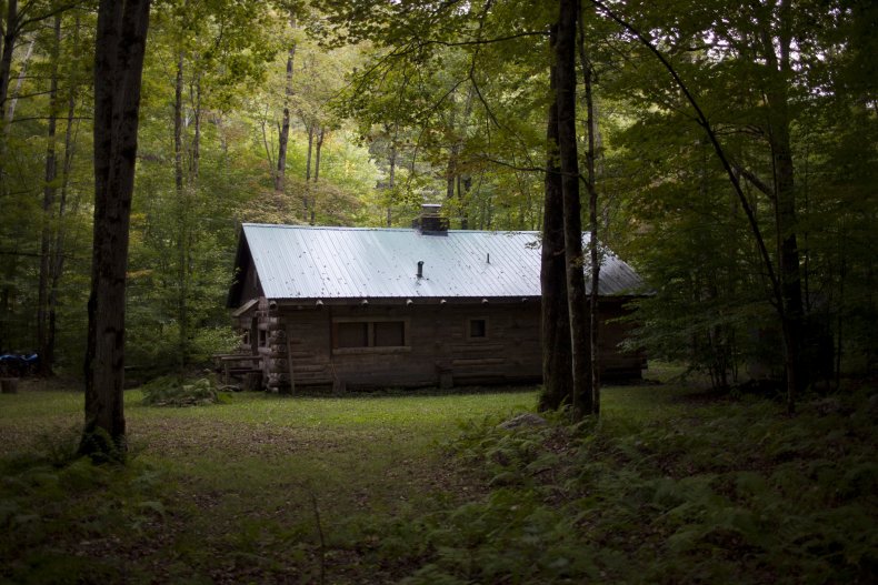 Cabin in the Woods