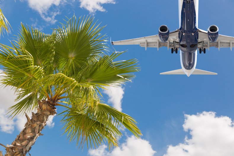 Plane flying over palm tree