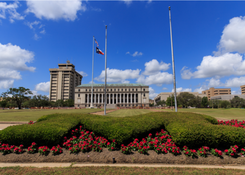 #80. Texas A&M University