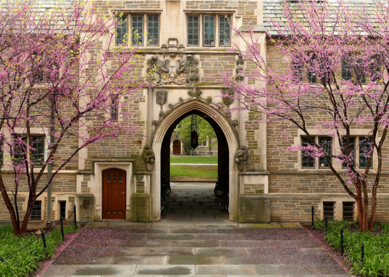 #6. Princeton University