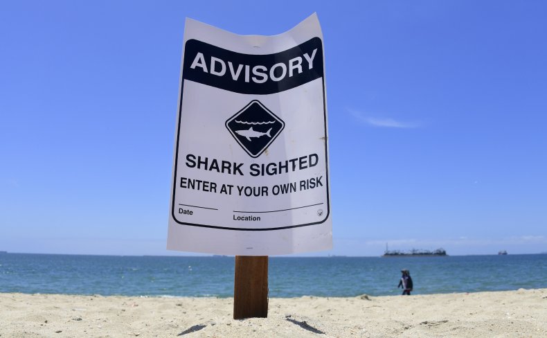 Ocean City Presumed Shark Bite Victim