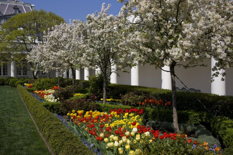 Rose Garden in 2008