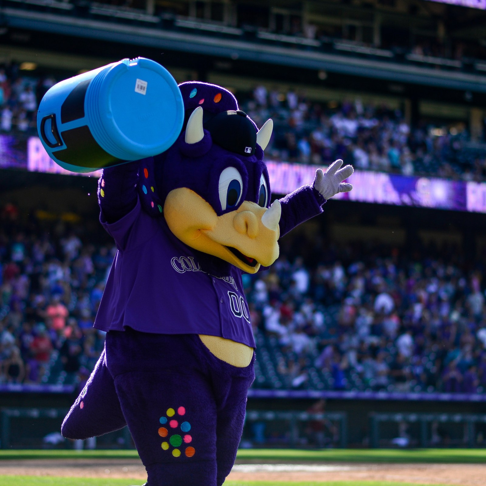 How Do You Feel About Dinger, The Rockies Mascot?