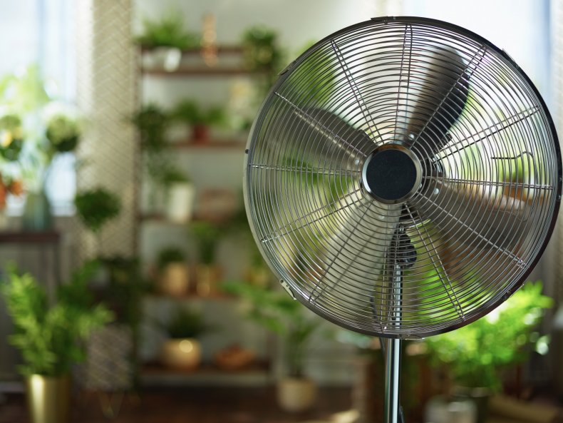 An electric fan