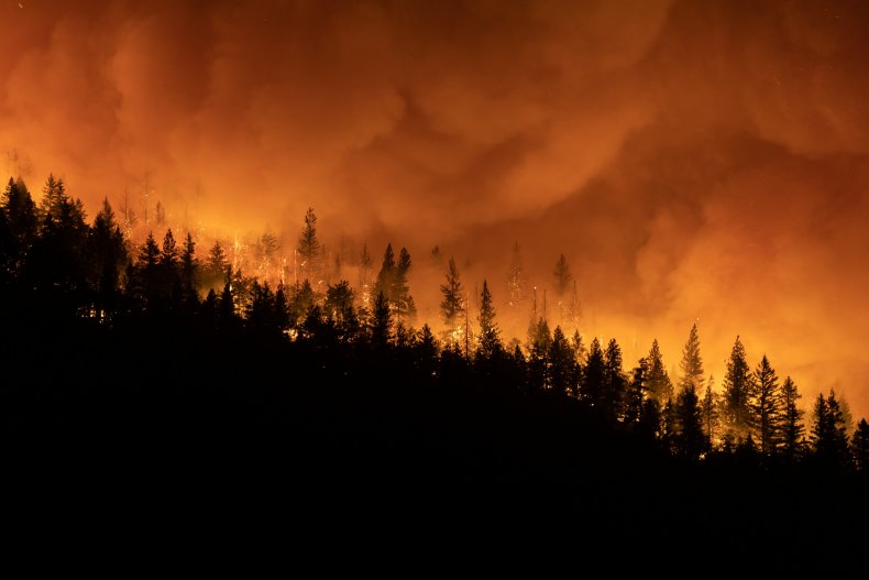 Wildfires Burning More Acres than 2020: NOAA