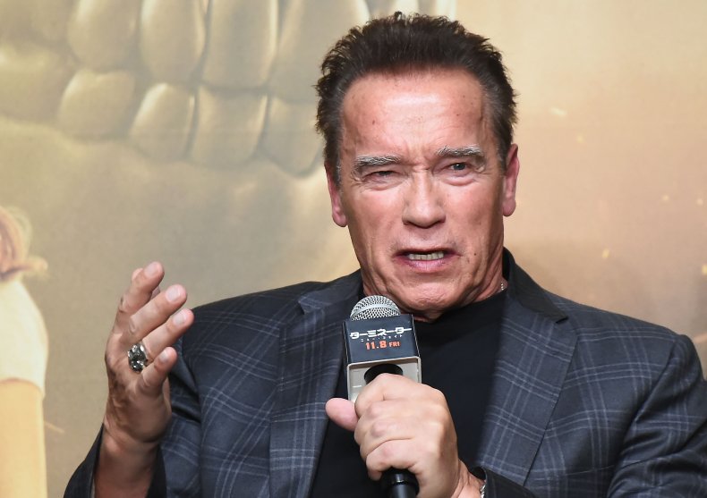 Arnold Schwarzenegger speaking into a microphone.