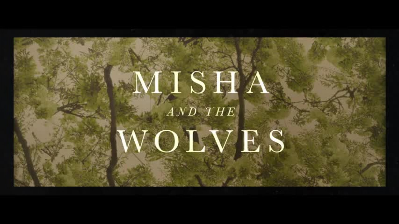 Misha and the wolves