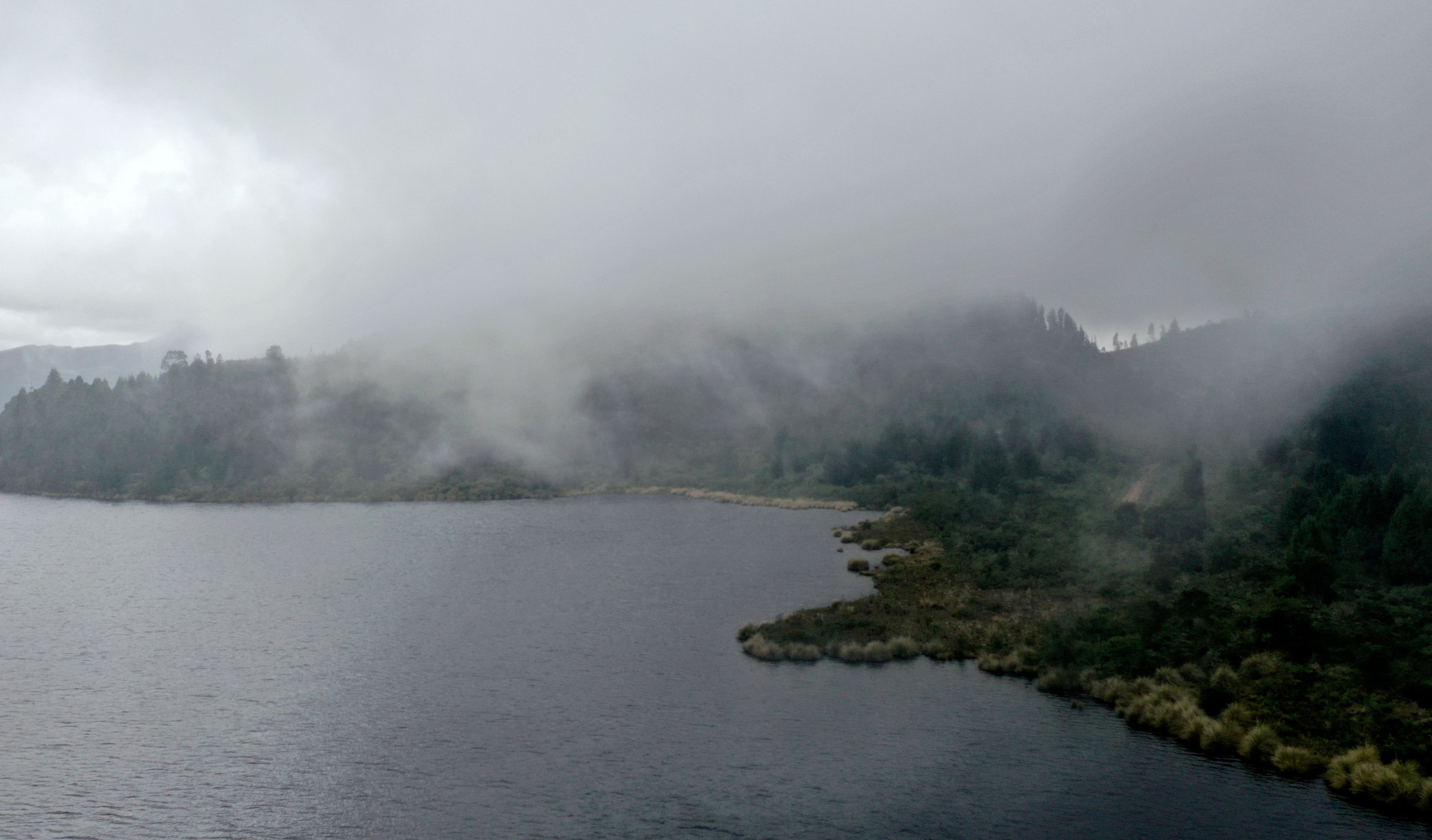 What Does 'You Do Not Recognise the Bodies in the Water' Mean? Creepy SCP  TikTok Explained