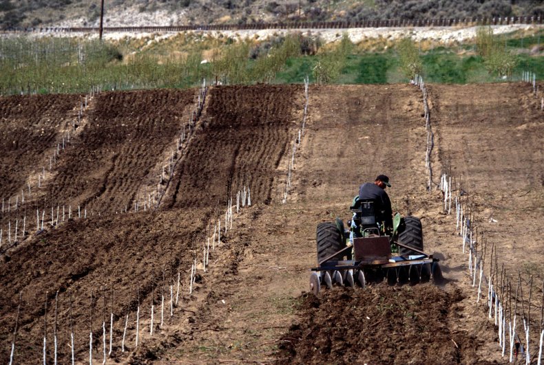 Washington State Farmer
