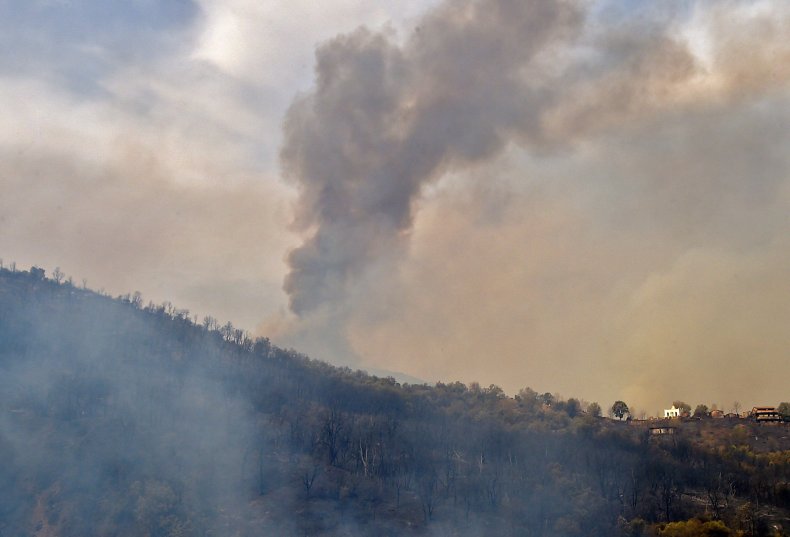 Algeria wildfires