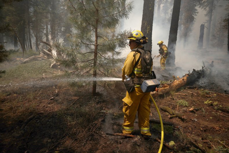 Firefighter Using Hose to Combat Hot Spots