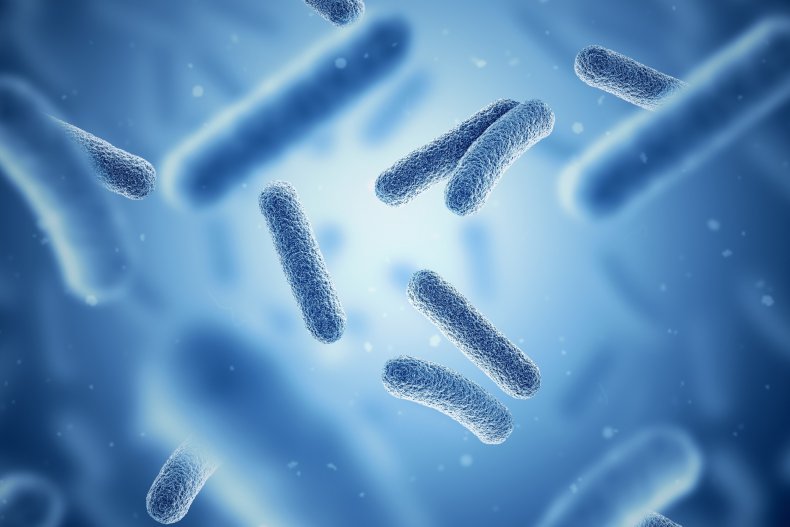 Illustration of bacteria