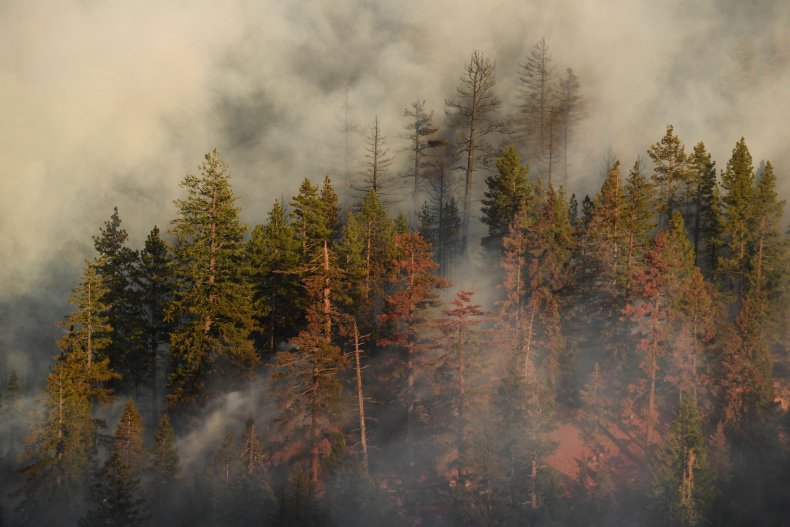 CA Wildfires 