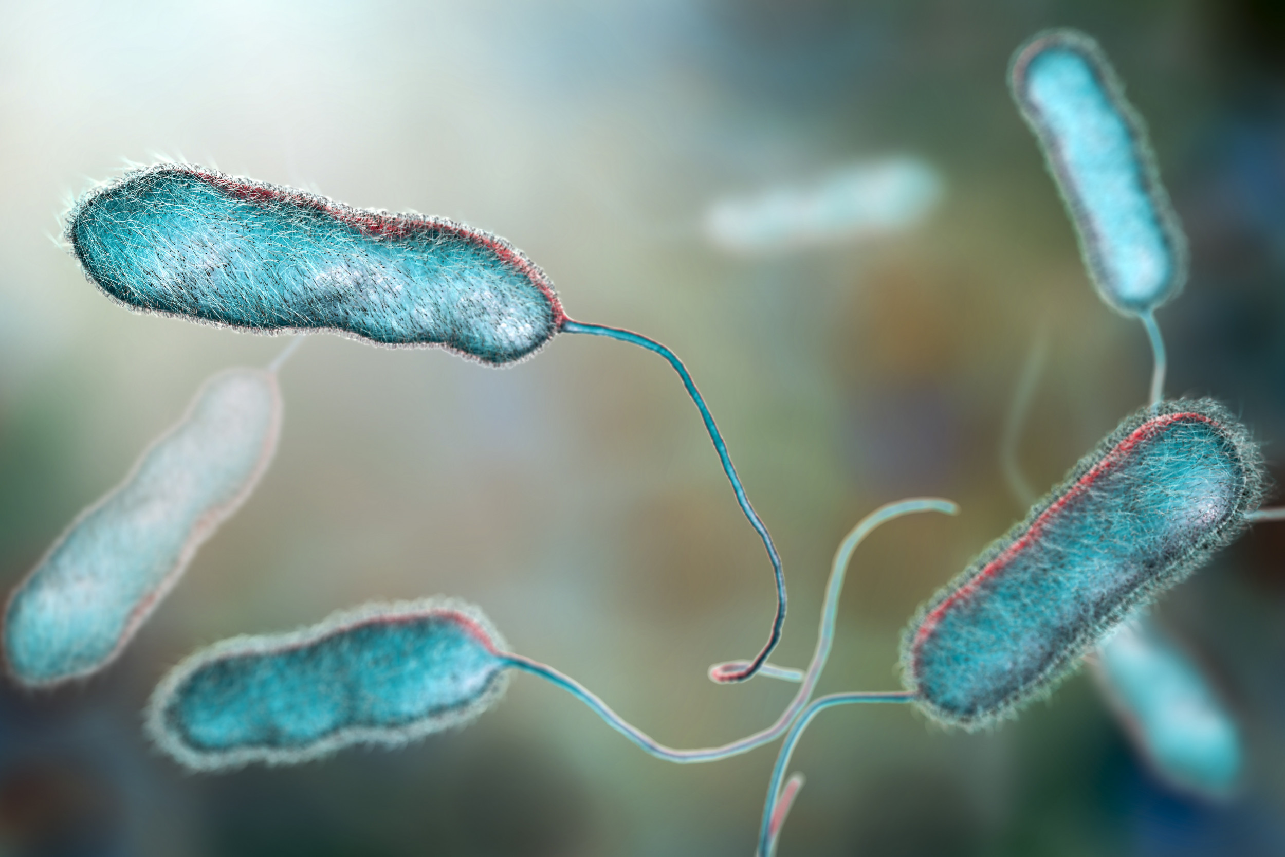 Legionella Bacteria Symptoms Explained After Duke University Outbreak