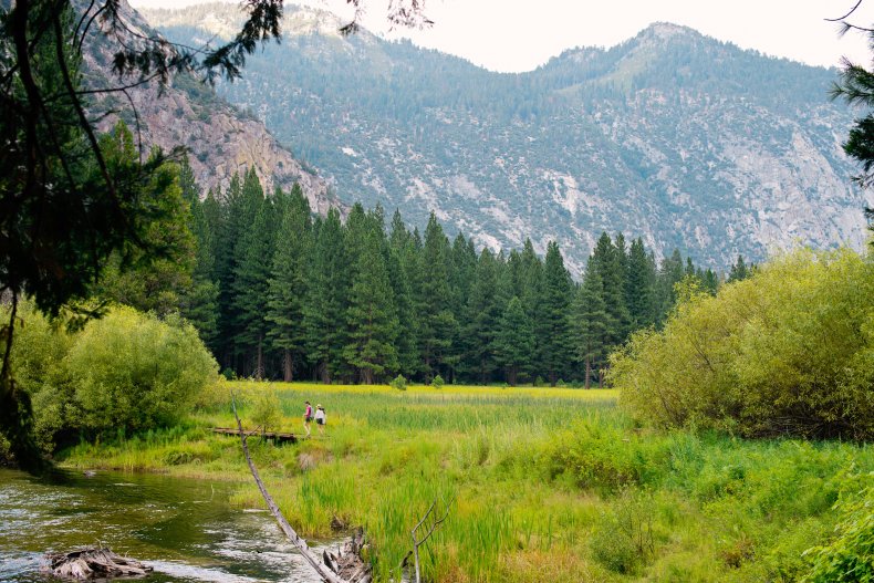Kings Canyon National Park