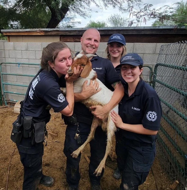 Goat Rescued UPDATED