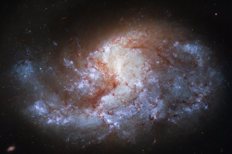 The spiral galaxy NGC 1385