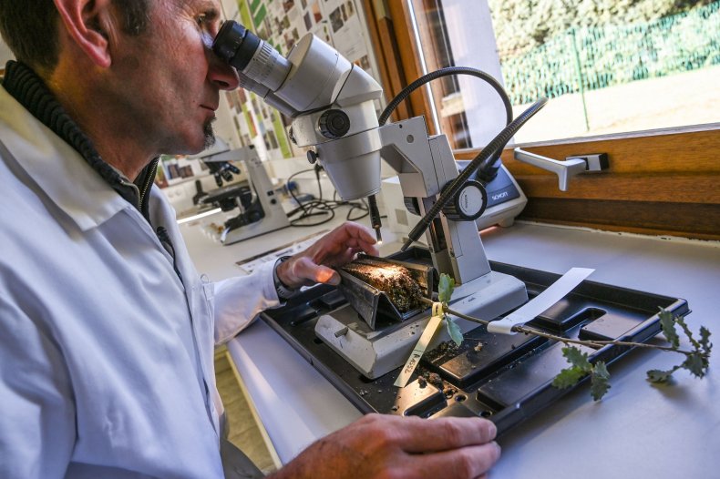 STEM Research