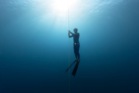 CUL Map Free diver