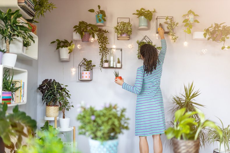 A woman looking after houseplants.