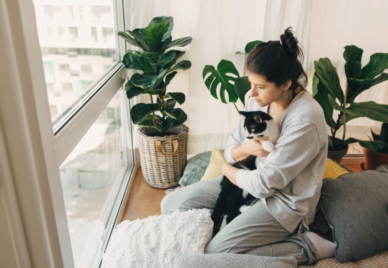 A woman holding a pet cat.
