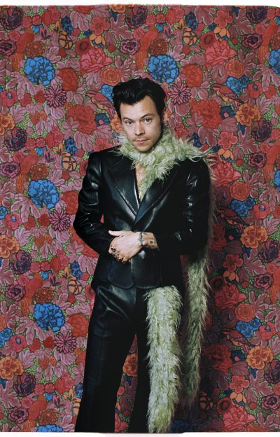 Harry Styles at the 2021 Grammy Awards Harry Styles at the 2021 Grammy Awards