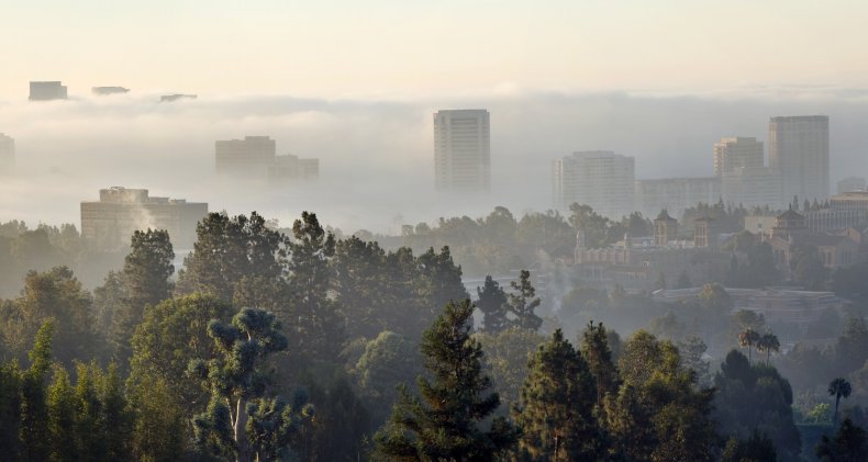 University of California, Los Angeles