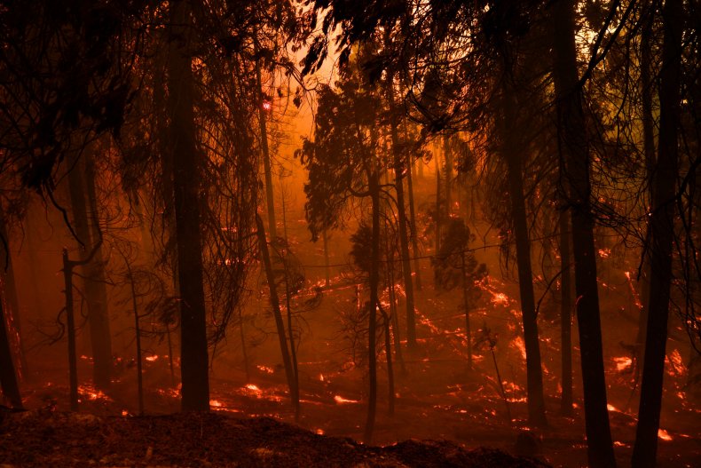California wildfires