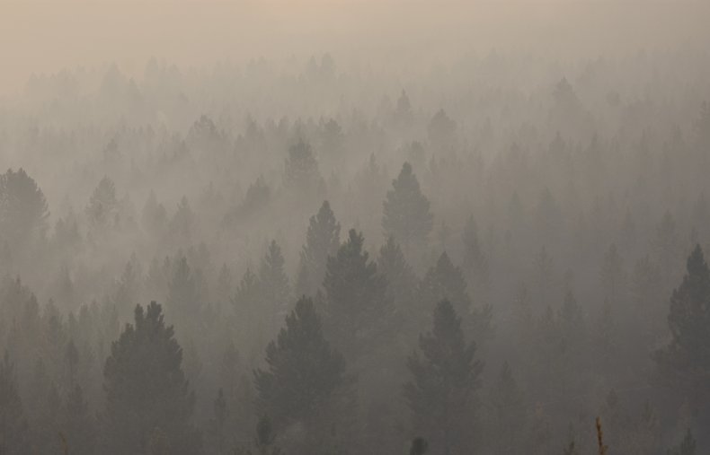 Wildfire Smoke Detection