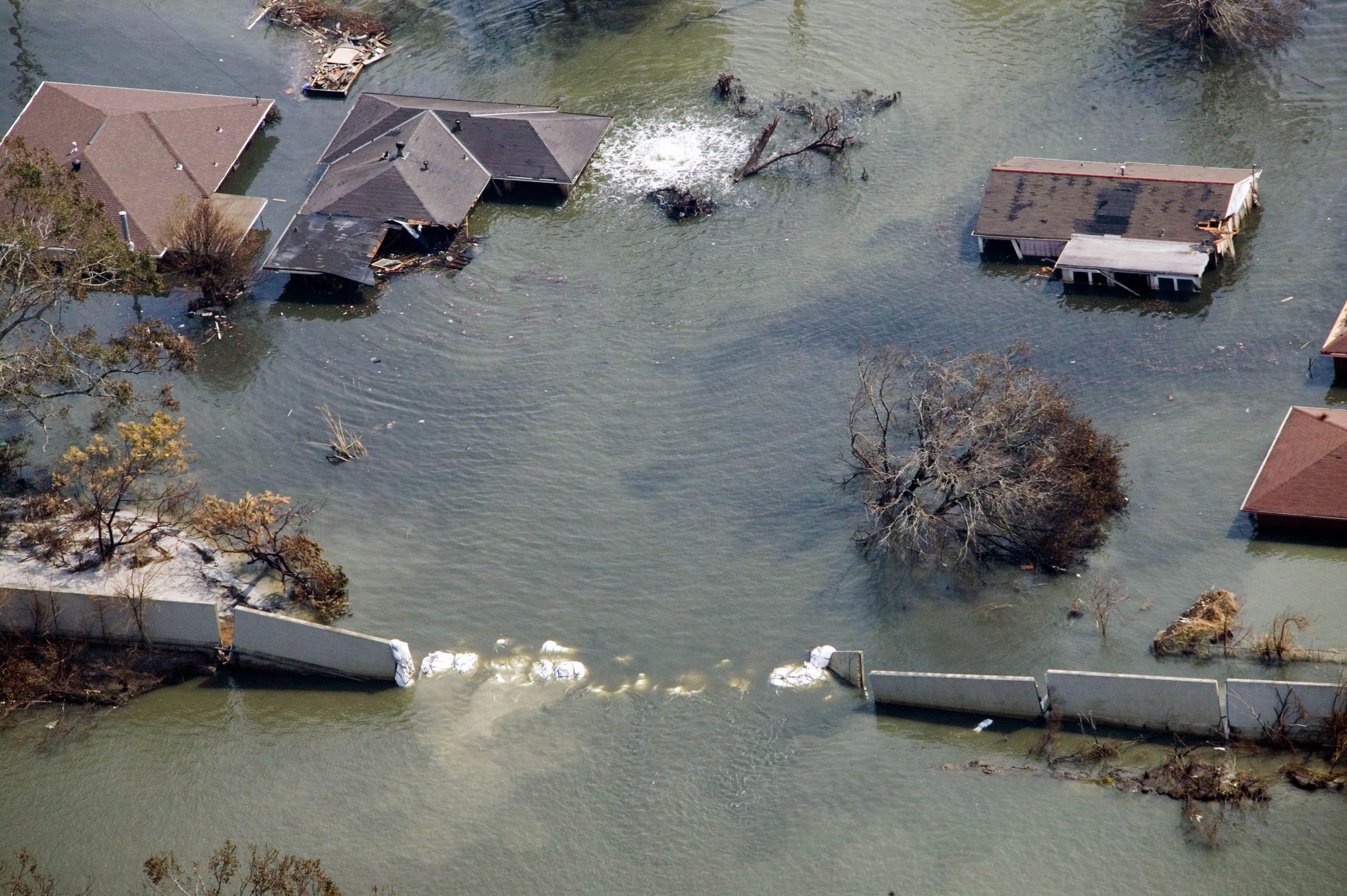 'Life-Threatening' Hurricane Ida Expected to Rock New Orleans on 16th