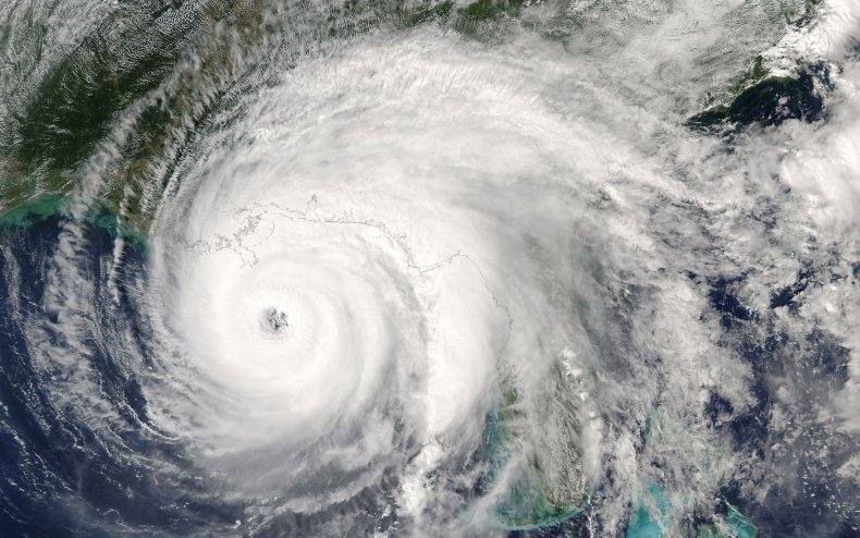 Hurricane Ida Turmoil Seen in Louisiana Googling: 'Hotels That Allow Dogs' Up 2,700% - Newsweek