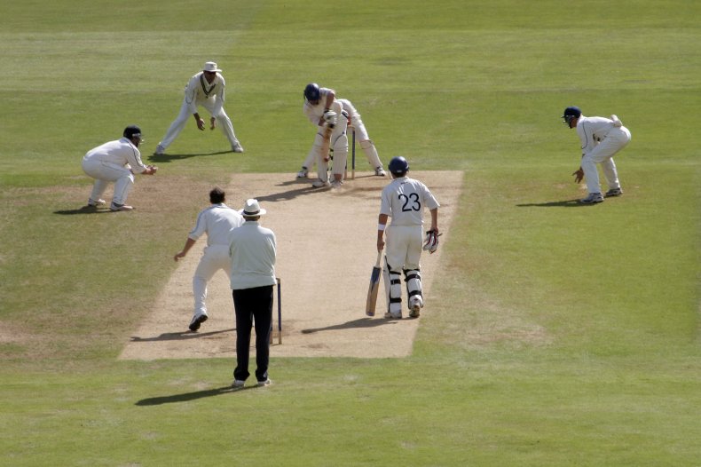 Cricket