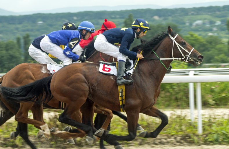 Racing jockey