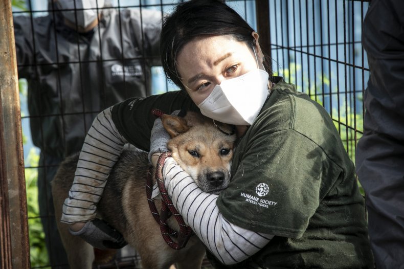 Attivista salva un cane da un allevamento di carne