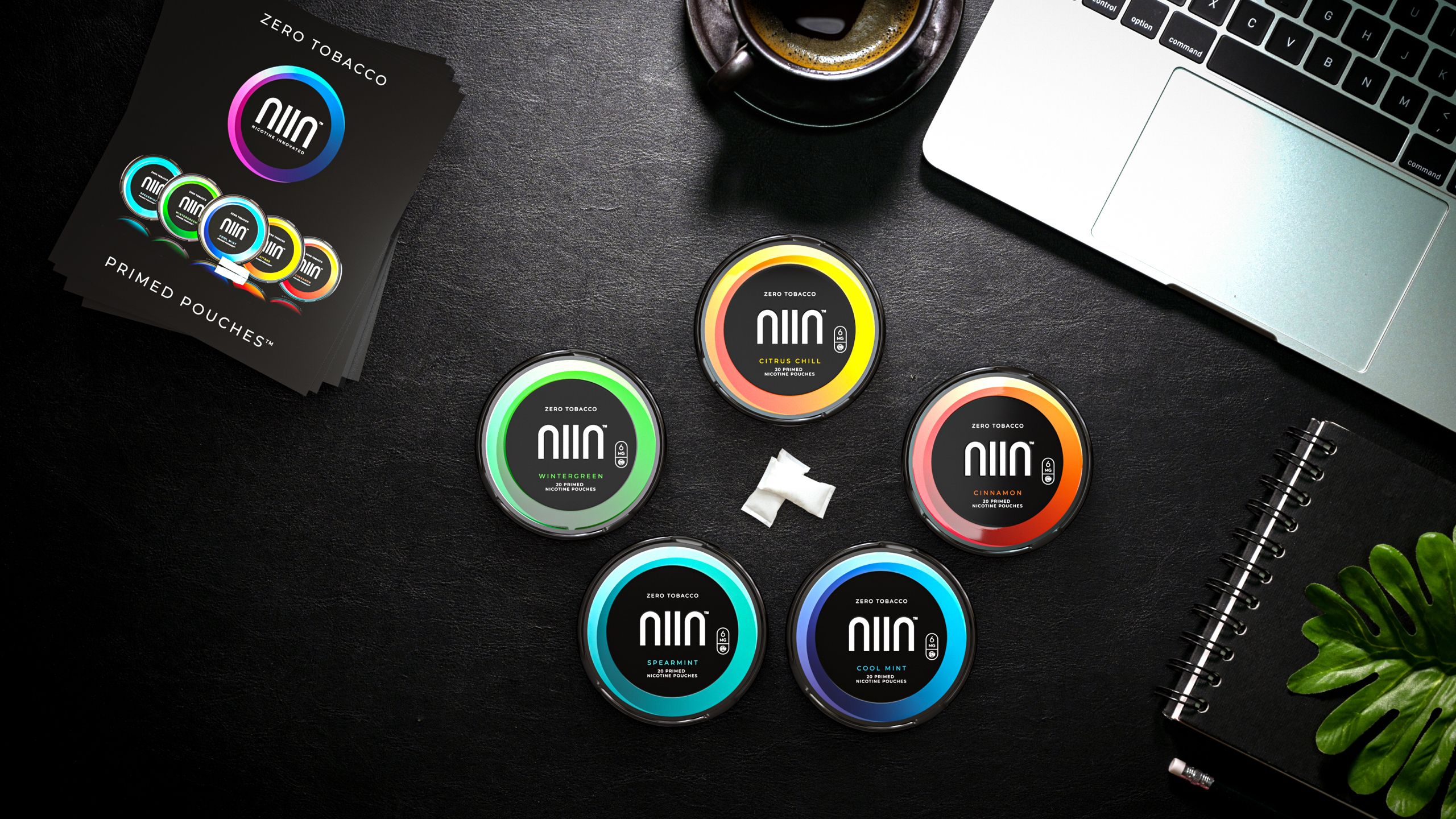 NIIN Nicotine Pouch flavors