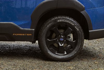 2022 Subaru Forester Wilderness 2022 Subaru Forester Wilderness