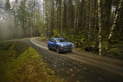 2022 Subaru Forester Wilderness 2022 Subaru Forester Wilderness
