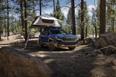 2022 Subaru Forester Wilderness 2022 Subaru Forester Wilderness