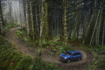 2022 Subaru Forester Wilderness 2022 Subaru Forester Wilderness
