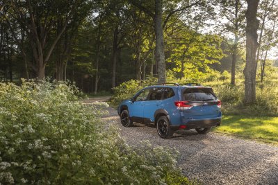2022 Subaru Forester Wilderness 2022 Subaru Forester Wilderness