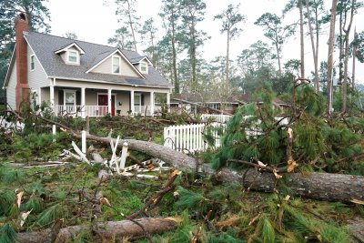 Tree Falls on Home Tree Falls on Home