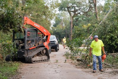 Workers Clear Trees Workers Clear Trees