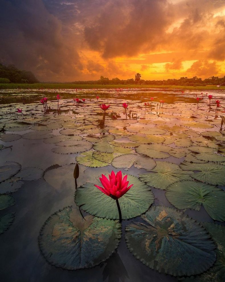 Bangladesh, Water