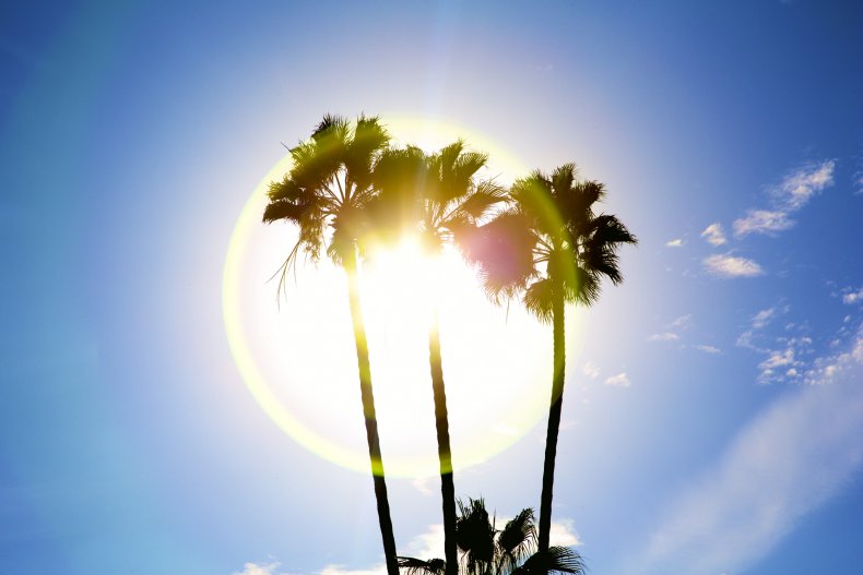 Palm trees are silhouetted against the sun