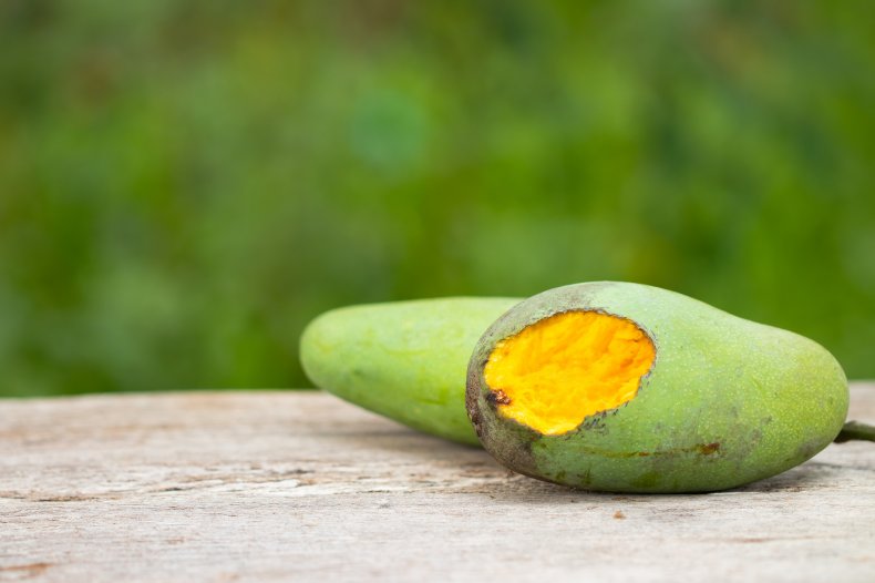 A rotten mango with a bite mark