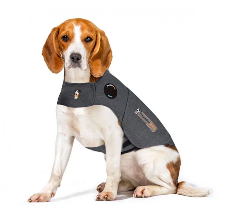 best dog anxiety products 2