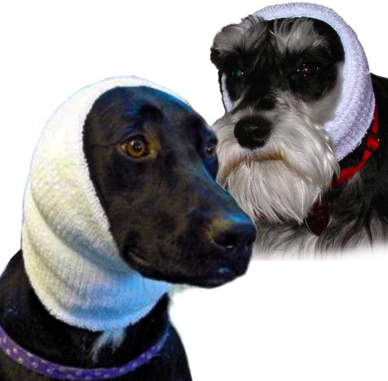 best dog anxiety products 7
